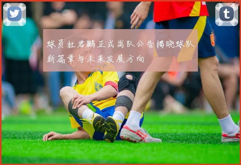 球员杜君鹏正式离队公告揭晓球队新篇章与未来发展方向