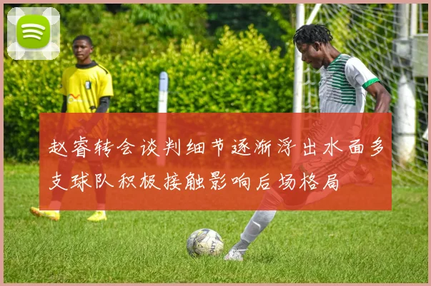 赵睿转会谈判细节逐渐浮出水面多支球队积极接触影响后场格局